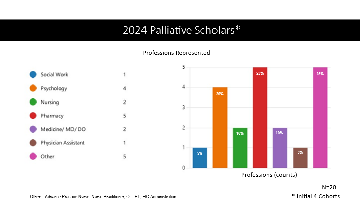 2024 Palliative Scholars